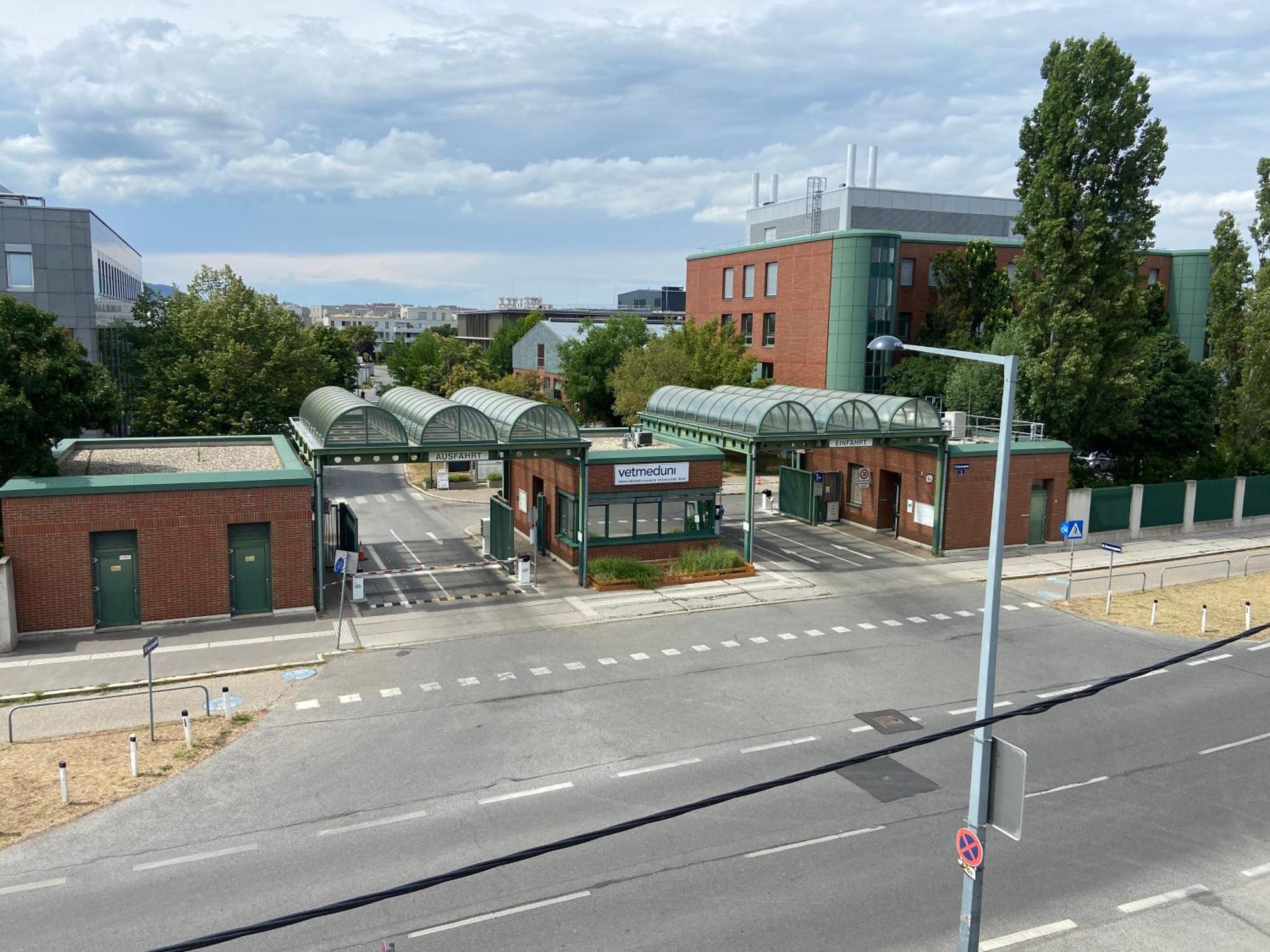 Ajo Apartments - Vetmed - Self-Check-In Wien Exteriör bild